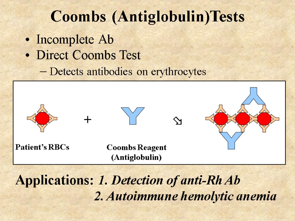 Coombs (Antiglobulin)Tests Incomplete Ab Direct Coombs Test Detects antibodies on erythrocytes Applications: 1. Detection
